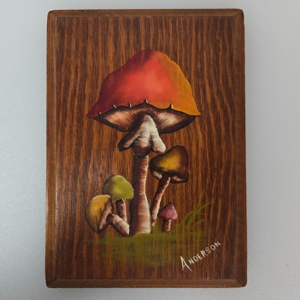 VTG Hand Painted Mushroom Wood Plaque Signed Anderson Rustic Folk Art Wall Decor